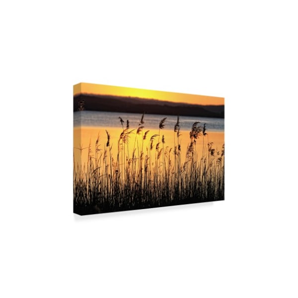 Incredi 'Flowers Over Water' Canvas Art,22x32